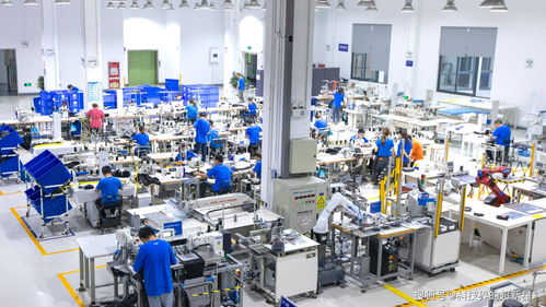 捂了三年，阿里的犀牛工廠到底在“織”什么？